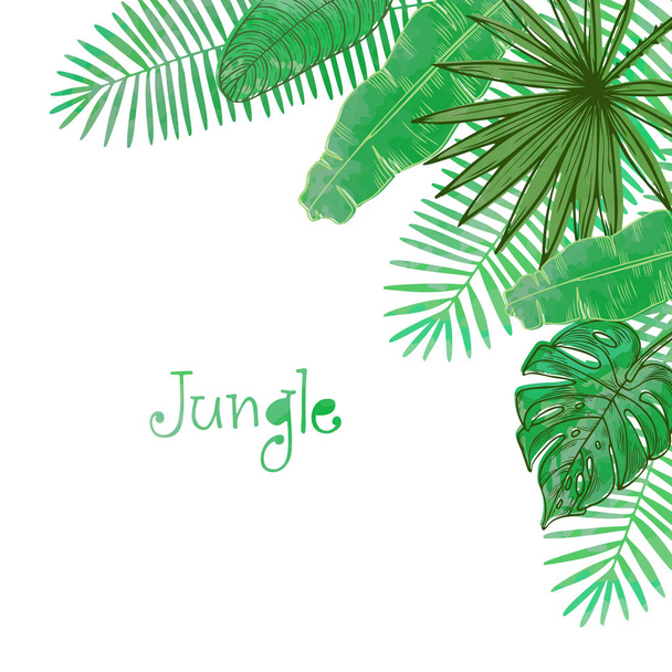Рамка с тропическими листьями
 - Вектор,изображение