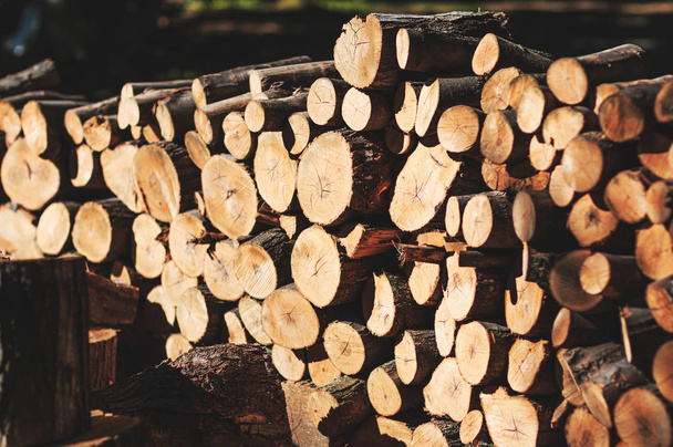 Grande pile de billes de bois au coucher du soleil prêt pour la saison hivernale. Fond rustique de texture bois avec la billette ronde en bois haché. troncs d'arbres coupés dans la forêt, pour le chauffage hivernal
.  - Photo, image