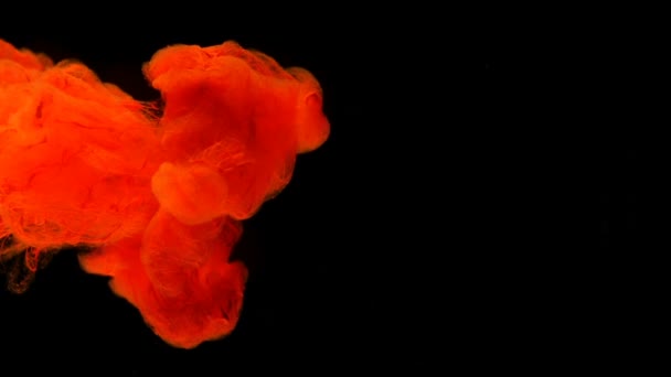 Red Ink in Water Slow Motion. Shot with high speed camera. - Footage, Video