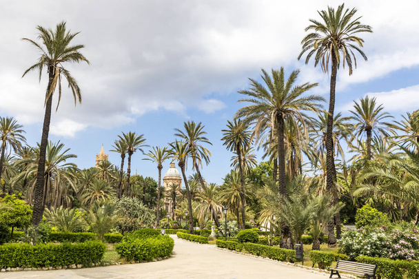 Villa Bonanno, the public garden in center of Palermo city, Sicily, Italy. Named after the mayor of Palermo, Pietro Bonanno. Tower of Arcidiocesi di Palermo Cathedral on the background - Фото, зображення