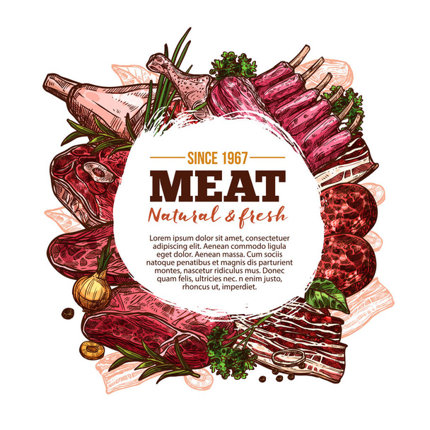 Meat sketch poster with beef, pork and chicken - Vector, Image
