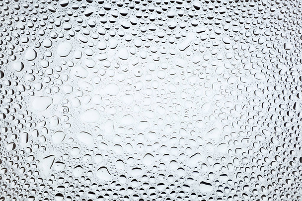 Крупним планом краплі води на білому градієнтному фоні, покриті краплями води конденсат
. - Фото, зображення