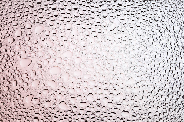 El primer plano de las gotas de agua sobre un fondo de gradiente blanco y rosa, cubierto con gotas de condensación de agua
. - Foto, Imagen