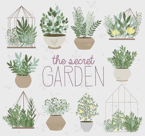 Lovely illustration poster with plants in the garden. Editable vector illustration - Vecteur, image
