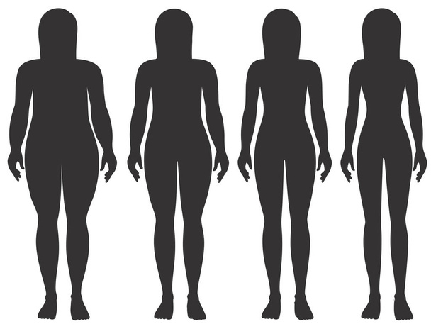 Stadia van dames gewicht illustratie - Vector, afbeelding