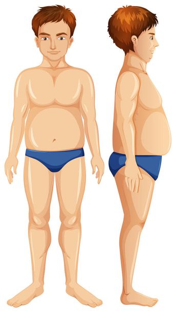 白背景イラストに脂肪男体 - ベクター画像