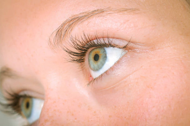 Eyelash extension procedure, woman eye with Long eyelashes - Photo, Image