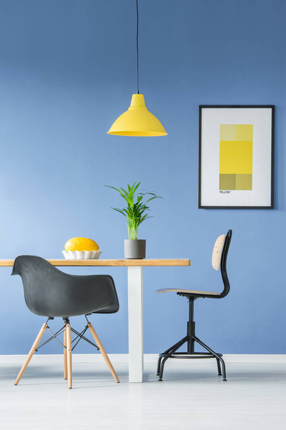 Two different black chairs by wooden table with a plant and a melon in a dish, a hanging yellow lamp and a mockup poster on a blue wall in bright dining room interior - Foto, imagen