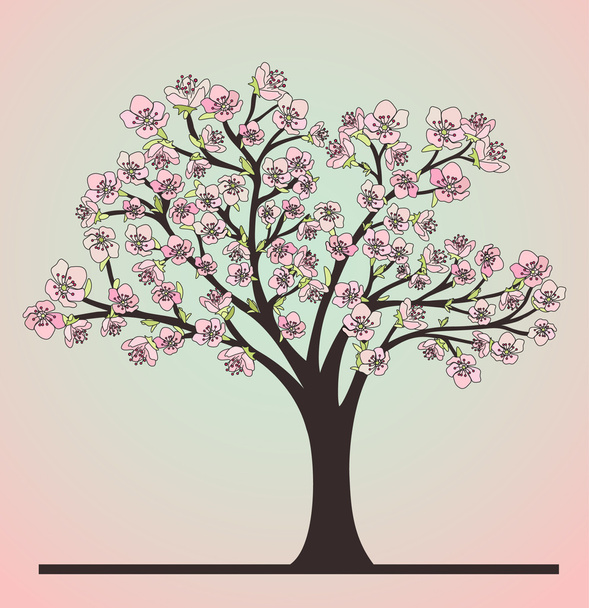 Cherry tree and blossoms - Vector, Image