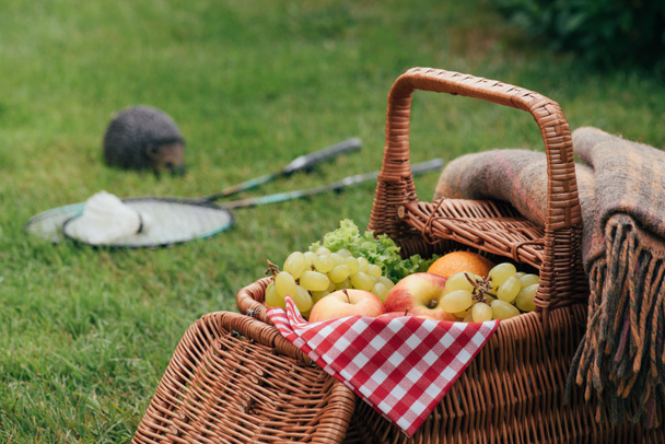 delicious grapes and apples in basket on green grass at picnic - Фото, изображение