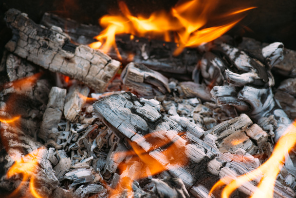 close up of bonfire with flame and firewood outdoors - Photo, Image