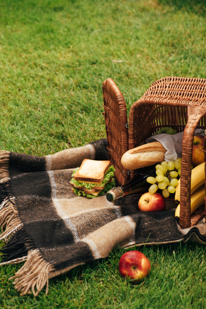 flipped over basket with fruits and champagne on blanket on green grass - Photo, Image