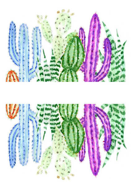 Hand drawn watercolor cactus, succulent plant illustration. - Fotó, kép