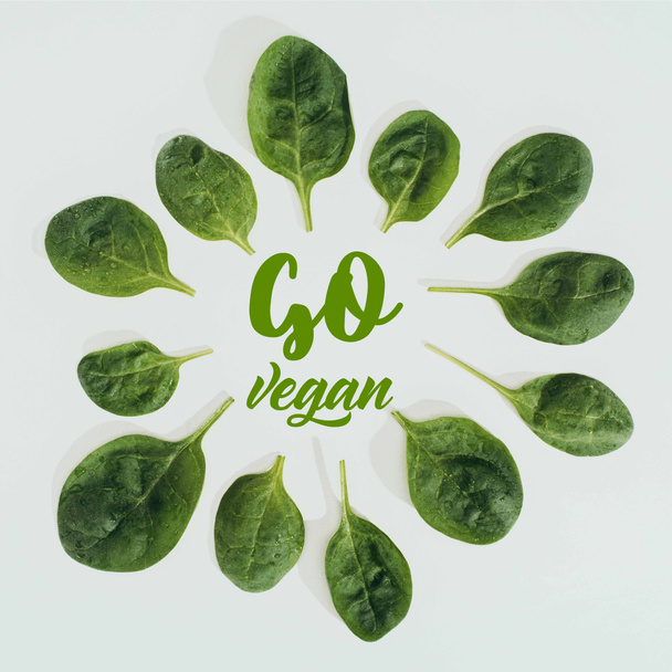 top view of beautiful fresh green leaves and words go vegan isolated on grey - Photo, Image