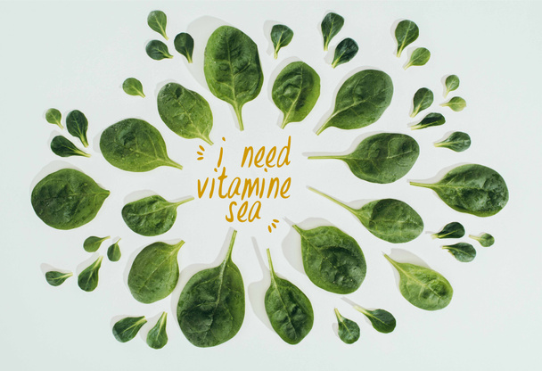 top view of beautiful fresh green leaves and words i need vitamine sea isolated on grey - Photo, Image
