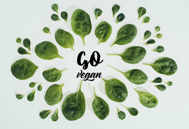 top view of beautiful fresh green leaves and words go vegan isolated on grey - Foto, Imagem