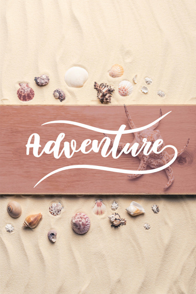 Large seashell on wooden pier on sandy beach with "adventure" lettering - Photo, Image
