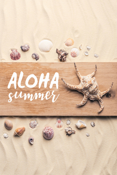 Large seashell on wooden pier on sandy beach with "aloha summer" lettering - Foto, Bild
