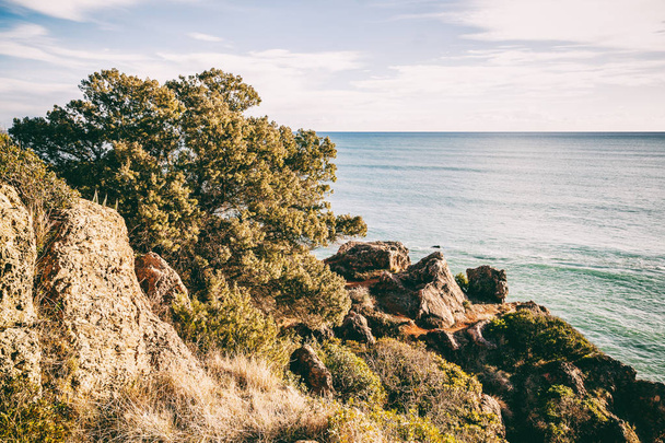 Beautiful seascape, pines on rocks, image with retro tinting - Photo, Image