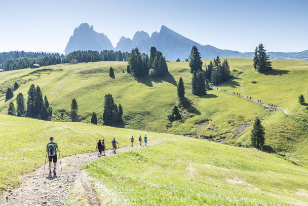 los excursionistas van por un camino. Dolomitas, Alpes, Italia
 - Foto, imagen