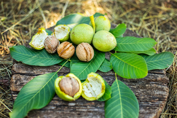 A handful of green young walnuts on a wooden background Nuts with shell and walnuts in green peel. - Fotografie, Obrázek