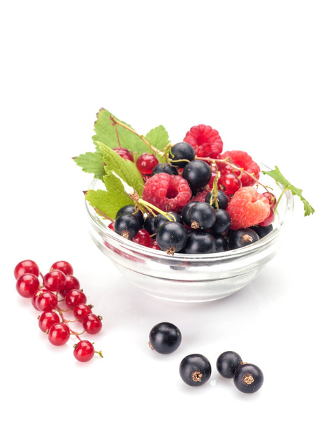 Змішані ягоди в мисці
 - Фото, зображення
