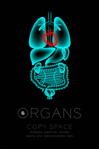 Чоловічий органів рентгенівського набір, серце інфекції концепція ідея червоний колір ілюстрації ізольовані світіння на темному тлі з органу текст значок і копію простір - Вектор, зображення