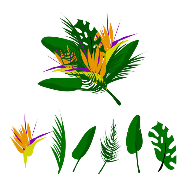 Tropikalny wektor zestaw kwiatowy. Kwiatowy kolekcja palm różnych liści, strelitzia egzotyczny kwiat w kolorowe kolaż płaski styl. Elementy dekoracyjno-wykończeniowe, zaproszenia, kartki, ślub, odzież, t shirt drukowanie, itp - Wektor, obraz