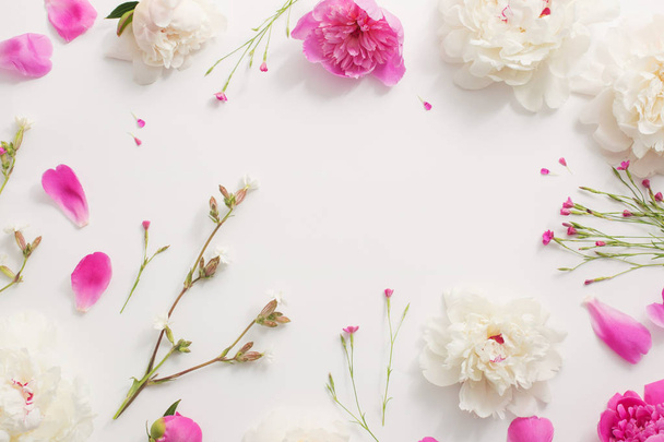 summer flowers on white paper background - Photo, image