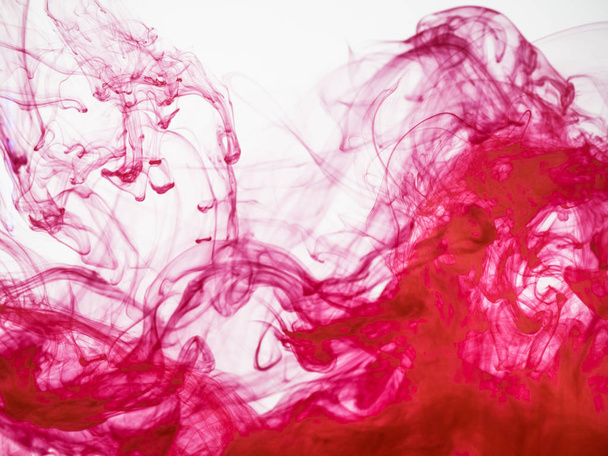 Image of the pattern of red ink dissolving into water. Movement of dissolving ink isolated on white background. Droplet of acrylic colour dissolving into water close up, abstract banner. - 写真・画像