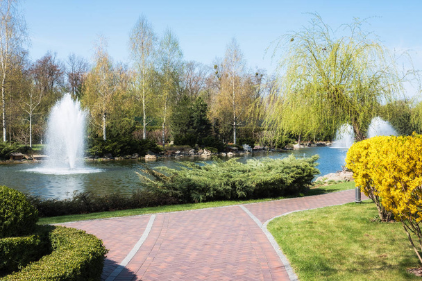 The fountain on the lake in the park. - Photo, Image