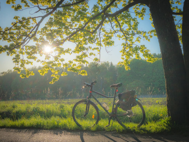 Bicicleta en la carretera con árboles
 - Foto, Imagen