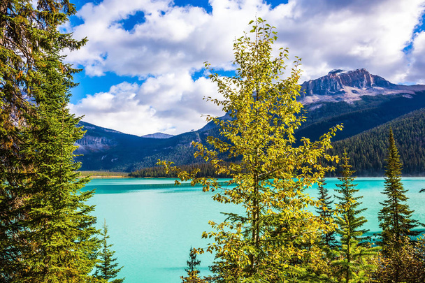 Magic Emerald Lake in the Canadian Rockies. The emerald-green lake surrounded by a coniferous forest - Fotoğraf, Görsel