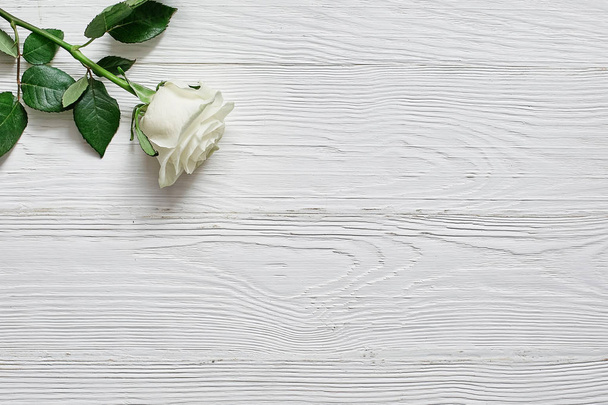 Rose on white wooden background. Place an inscription, text or message - Foto, Imagem