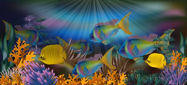 Underwater background with tropical fish, vector illustration - Вектор,изображение