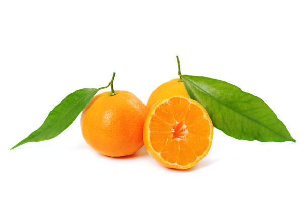 Tangerine isolated - Фото, изображение