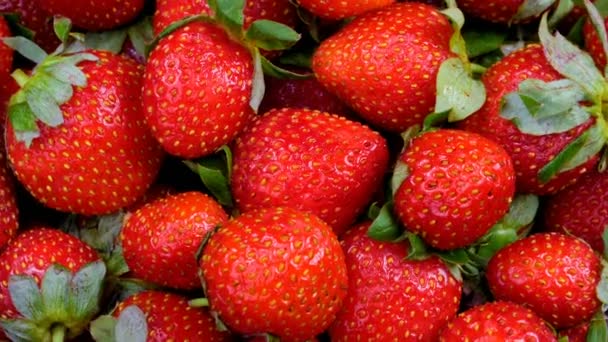 Fresas frescas girando. Concepto de alimentación saludable. Fondo de frutas frescas. 4k
 - Metraje, vídeo