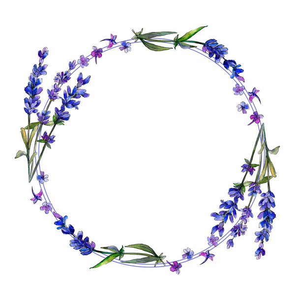 Violet lavender. Floral botanical flower. Frame border ornament square. Aquarelle wildflower for background, texture, wrapper pattern, frame or border. - Foto, Imagem