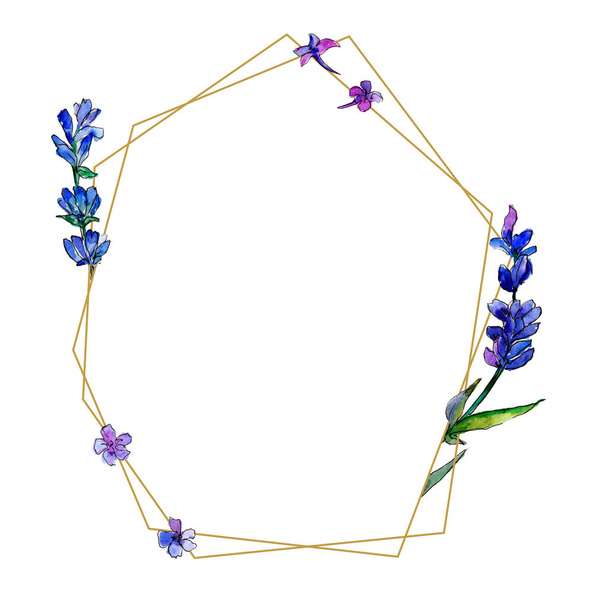 Violet lavender. Floral botanical flower. Frame border ornament square. Aquarelle wildflower for background, texture, wrapper pattern, frame or border. - Foto, Imagem