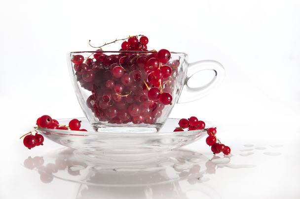 Glass cup with wet red currant - Foto, Imagen