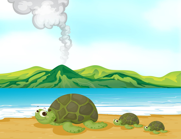 A volcano beach and turtles - Vector, Image
