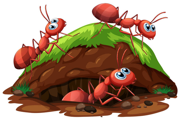 Arbeiter-Ameisen auf weißem Hintergrund - Vektor, Bild