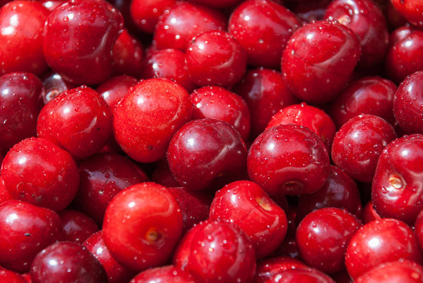 Cherry. Red fresh bunch of cherries on the table. - Valokuva, kuva