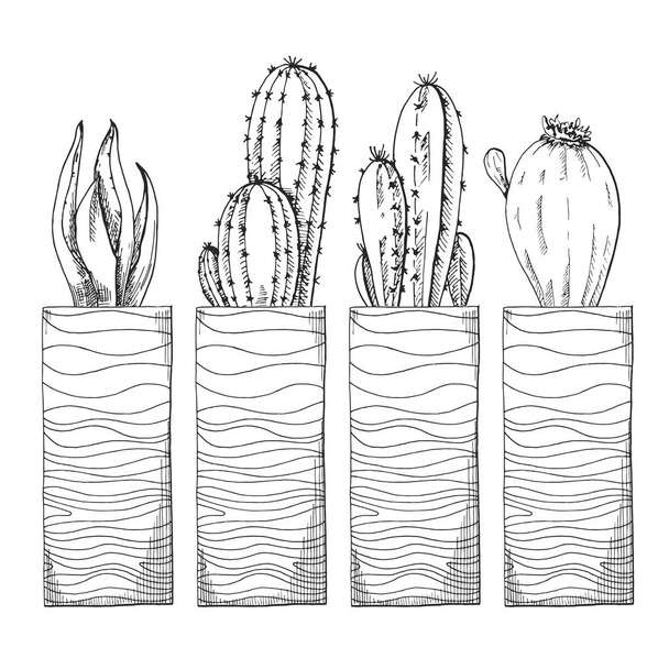 Sketch of succulents in high pots. Vector illustration of a sketch style. - Wektor, obraz