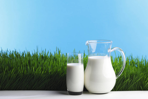 Milk jug and glass on fresh green grass field background - Foto, afbeelding