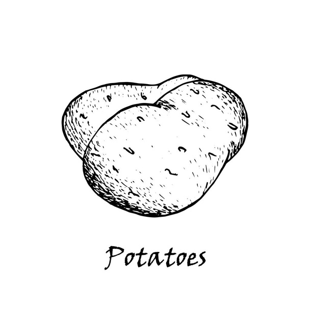 Dessin vectoriel de pommes de terre. tas de pommes de terre tirées à la main isolées
.  - Vecteur, image