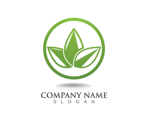 leaf green nature logo and symbol template - Vector, Image