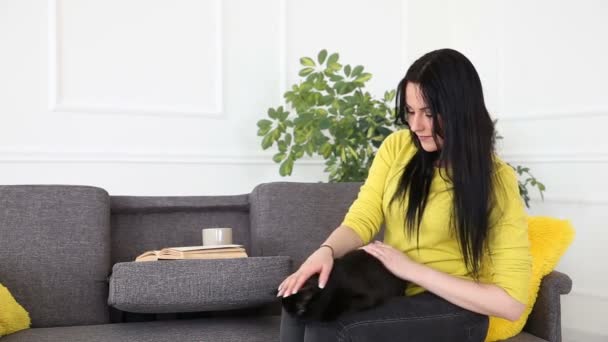 liefde voor huisdieren. mooi donker-haired meisje met een zwarte kat is ontspannen thuis in de woonkamer op de Bank. - Video