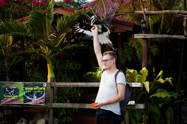 wunderschöner Papageienvogel, der sich auf der Insel Pangkor in Malaysia ernährt. Wildvogel in Südostasien. - Foto, Bild