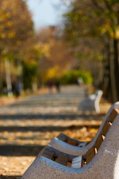 Bench in a city park. autumn - Photo, image